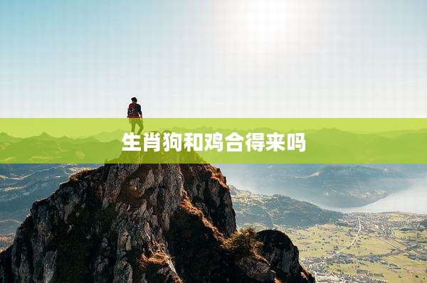 生肖狗和鸡合得来吗
