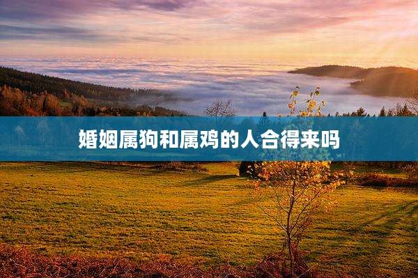 婚姻属狗和属鸡的人合得来吗