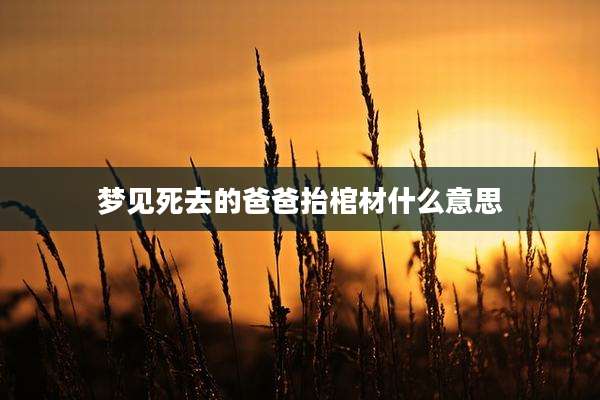 梦见死去的爸爸抬棺材什么意思