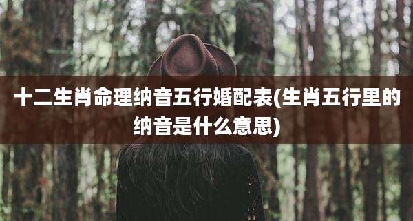 十二生肖命理纳音五行婚配表(生肖五行里的纳音是什么意思)