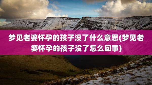 梦见老婆怀孕的孩子没了什么意思(梦见老婆怀孕的孩子没了怎么回事)