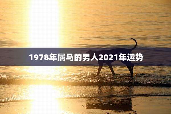 1978年属马的男人2021年运势