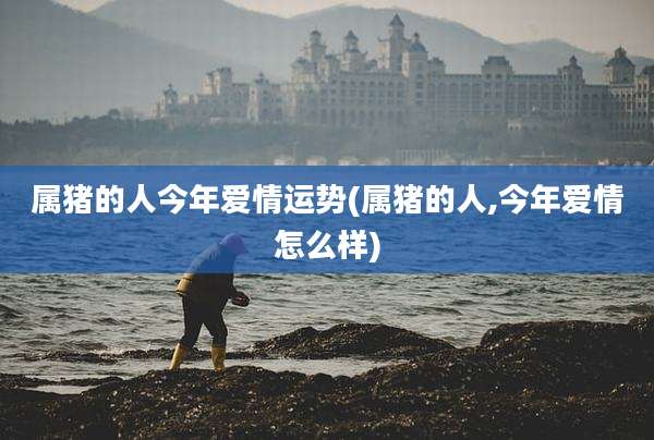 属猪的人今年爱情运势(属猪的人,今年爱情怎么样)