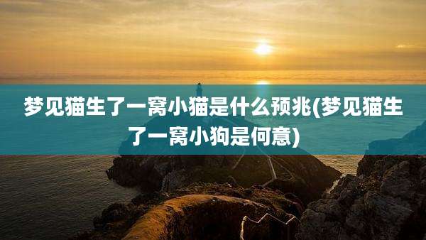 梦见猫生了一窝小猫是什么预兆(梦见猫生了一窝小狗是何意)