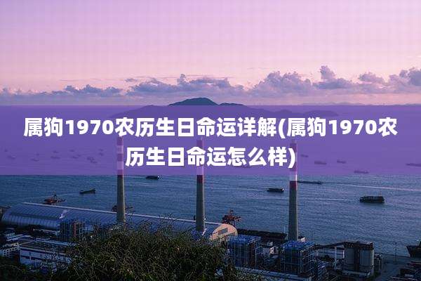 属狗1970农历生日命运详解(属狗1970农历生日命运怎么样)