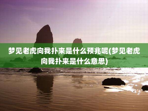 梦见老虎向我扑来是什么预兆呢(梦见老虎向我扑来是什么意思)