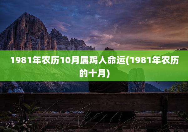 1981年农历10月属鸡人命运(1981年农历的十月)