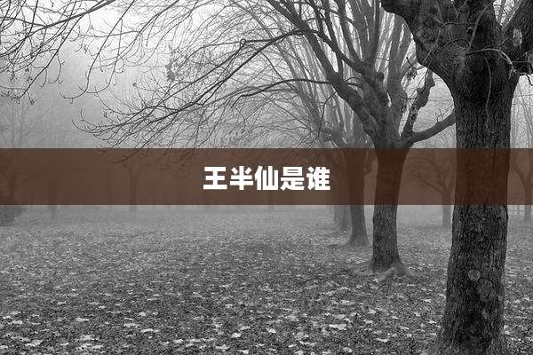 王半仙是谁