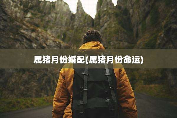 属猪月份婚配(属猪月份命运)