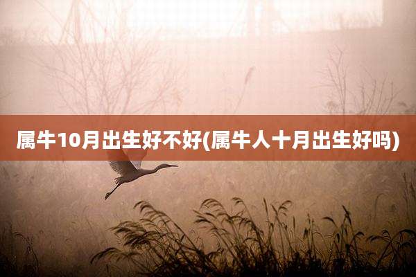 属牛10月出生好不好(属牛人十月出生好吗)
