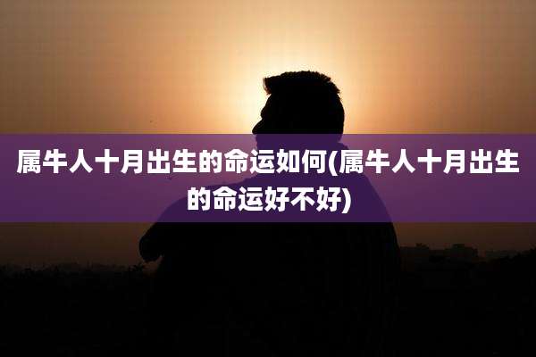 属牛人十月出生的命运如何(属牛人十月出生的命运好不好)