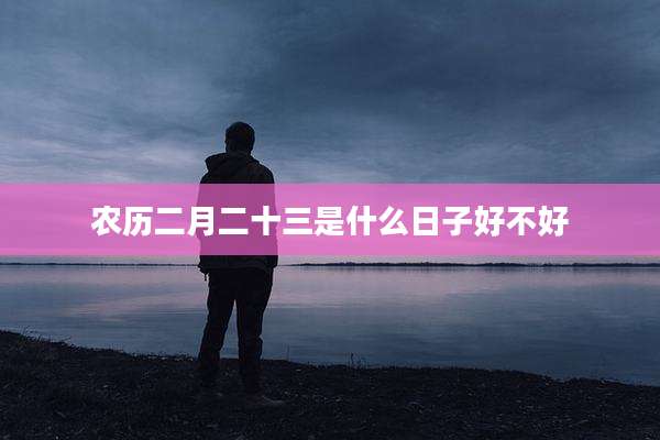 农历二月二十三是什么日子好不好