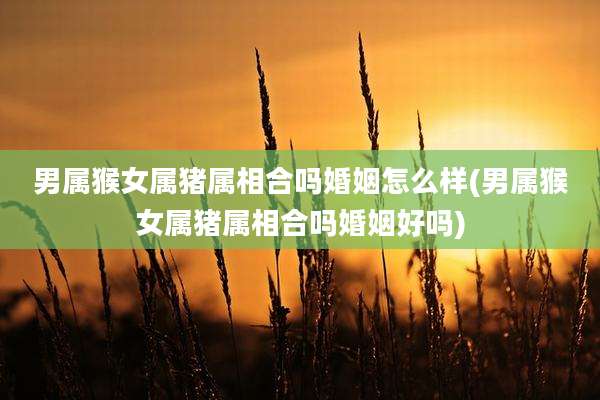 男属猴女属猪属相合吗婚姻怎么样(男属猴女属猪属相合吗婚姻好吗)