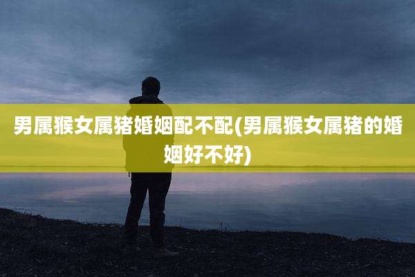 男属猴女属猪婚姻配不配(男属猴女属猪的婚姻好不好)
