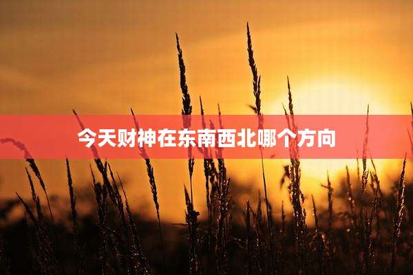 今天财神在东南西北哪个方向