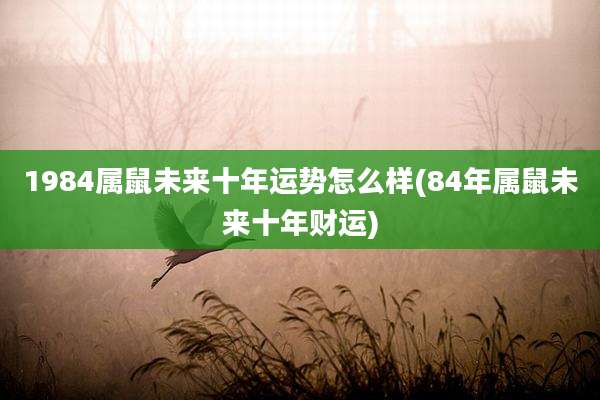 1984属鼠未来十年运势怎么样(84年属鼠未来十年财运)