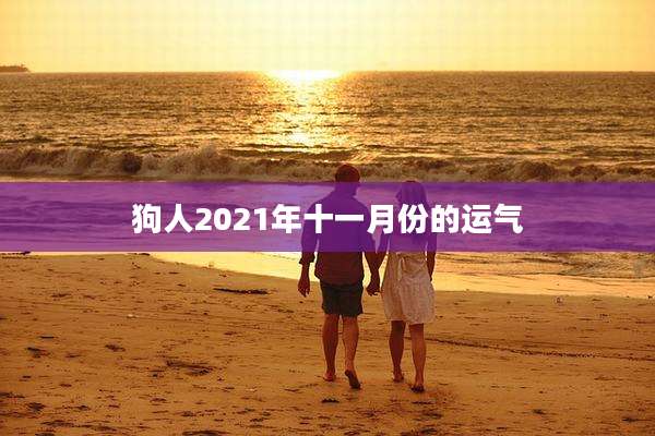 狗人2021年十一月份的运气