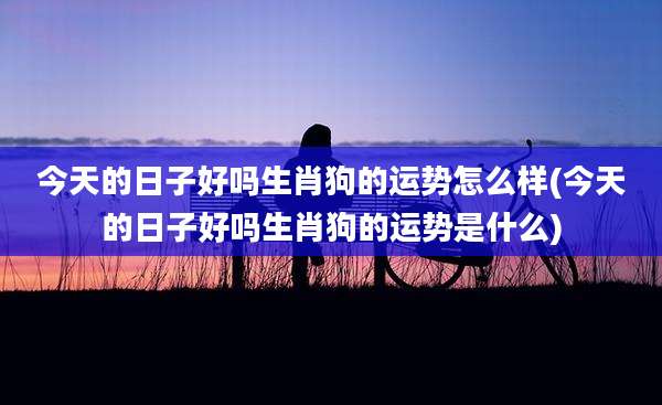 今天的日子好吗生肖狗的运势怎么样(今天的日子好吗生肖狗的运势是什么)