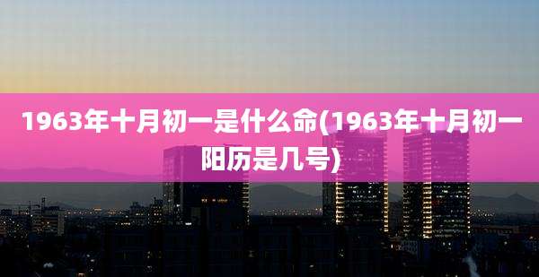 1963年十月初一是什么命(1963年十月初一阳历是几号)