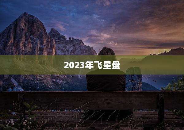 2023年飞星盘