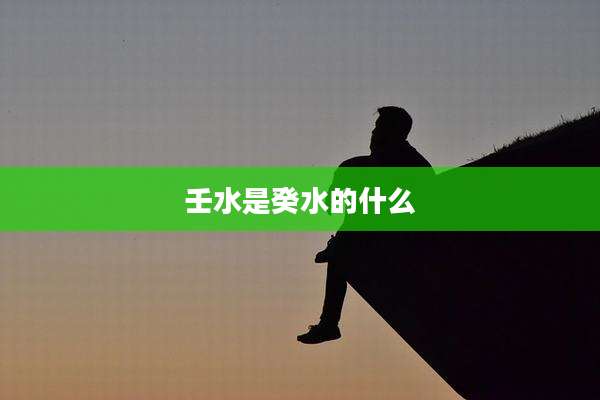 壬水是癸水的什么