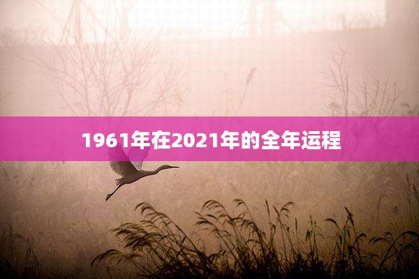 1961年在2021年的全年运程