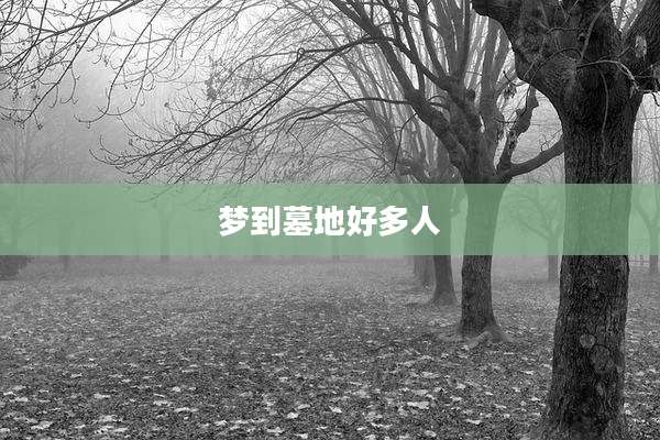 梦到墓地好多人