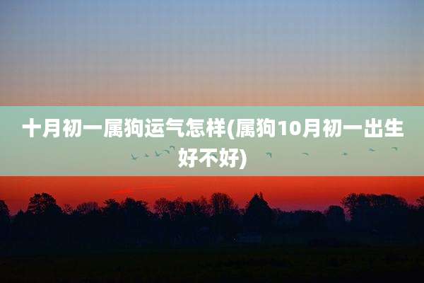 十月初一属狗运气怎样(属狗10月初一出生好不好)