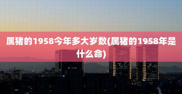 属猪的1958今年多大岁数(属猪的1958年是什么命)