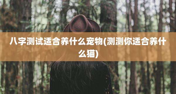 八字测试适合养什么宠物(测测你适合养什么猫)
