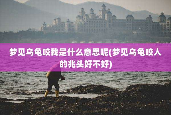 梦见乌龟咬我是什么意思呢(梦见乌龟咬人的兆头好不好)