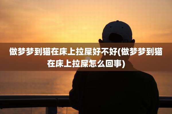 做梦梦到猫在床上拉屎好不好(做梦梦到猫在床上拉屎怎么回事)