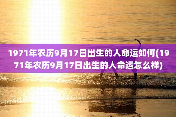 1971年农历9月17日出生的人命运如何(1971年农历9月17日出生的人命运怎么样)