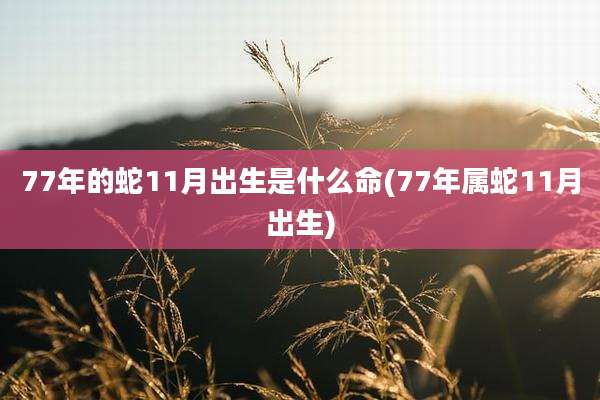 77年的蛇11月出生是什么命(77年属蛇11月出生)