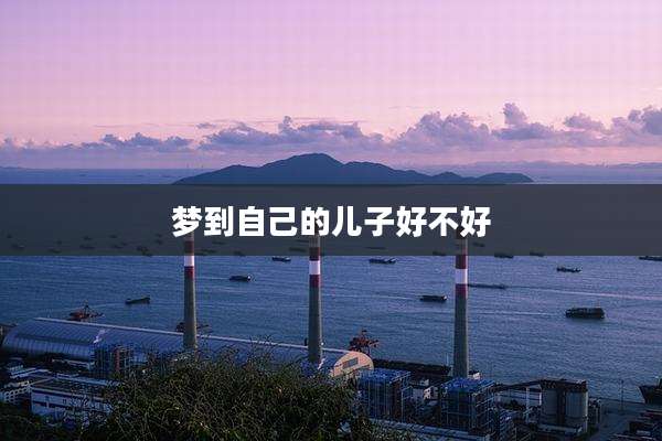 梦到自己的儿子好不好