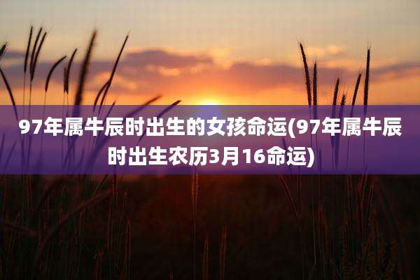97年属牛辰时出生的女孩命运(97年属牛辰时出生农历3月16命运)
