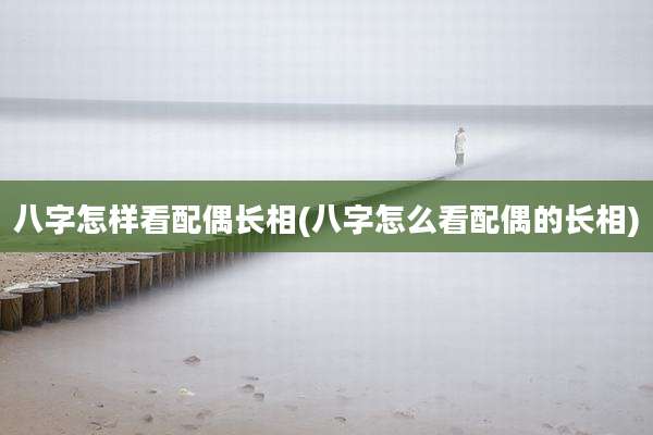 八字怎样看配偶长相(八字怎么看配偶的长相)