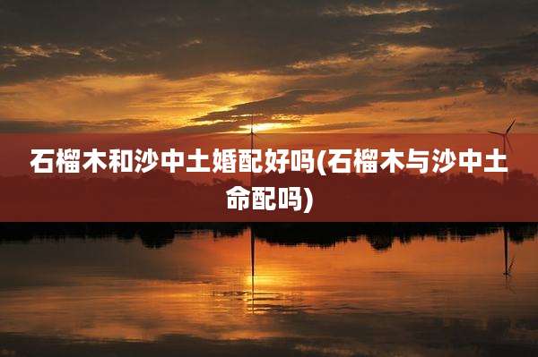 石榴木和沙中土婚配好吗(石榴木与沙中土命配吗)