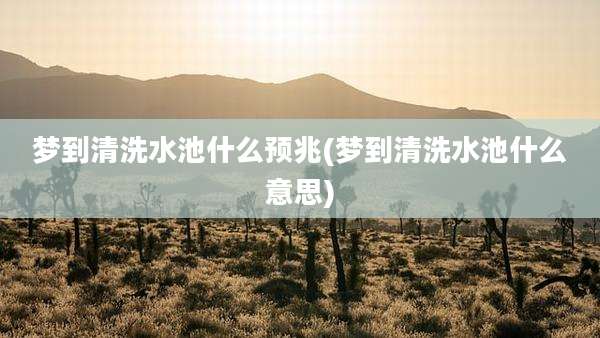 梦到清洗水池什么预兆(梦到清洗水池什么意思)