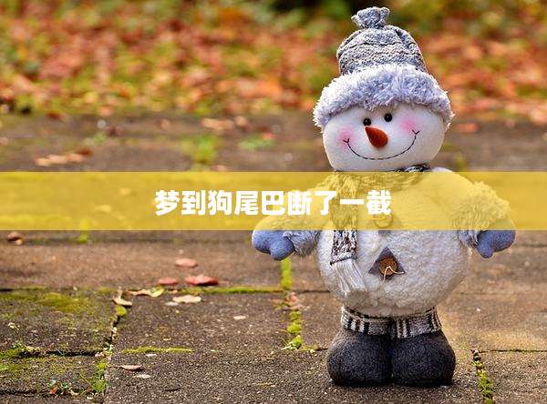 梦到狗尾巴断了一截