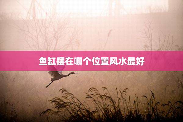 鱼缸摆在哪个位置风水最好
