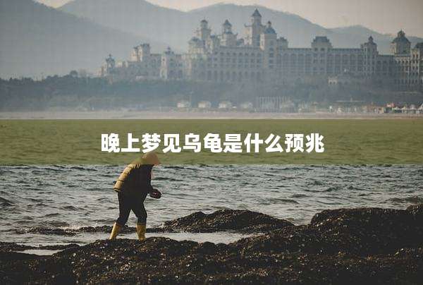 晚上梦见乌龟是什么预兆