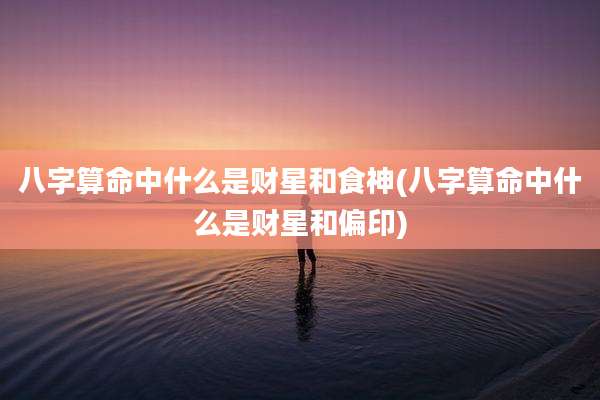 八字算命中什么是财星和食神(八字算命中什么是财星和偏印)