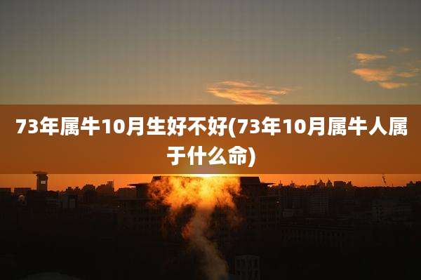 73年属牛10月生好不好(73年10月属牛人属于什么命)