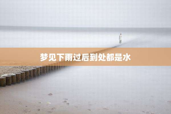 梦见下雨过后到处都是水