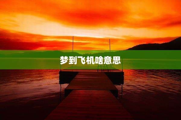 梦到飞机啥意思