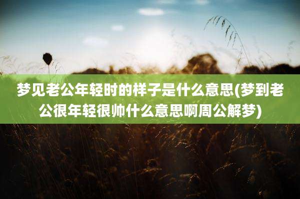 梦见老公年轻时的样子是什么意思(梦到老公很年轻很帅什么意思啊周公解梦)