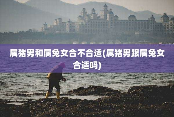 属猪男和属兔女合不合适(属猪男跟属兔女合适吗)