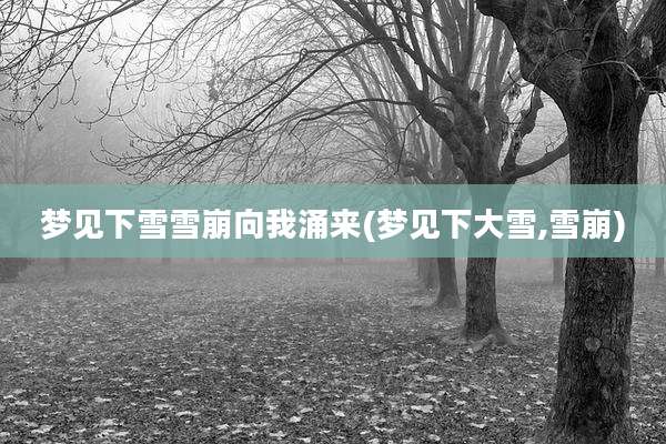 梦见下雪雪崩向我涌来(梦见下大雪,雪崩)