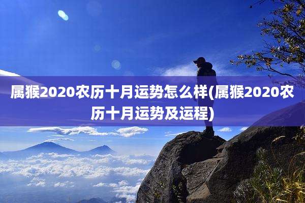 属猴2020农历十月运势怎么样(属猴2020农历十月运势及运程)